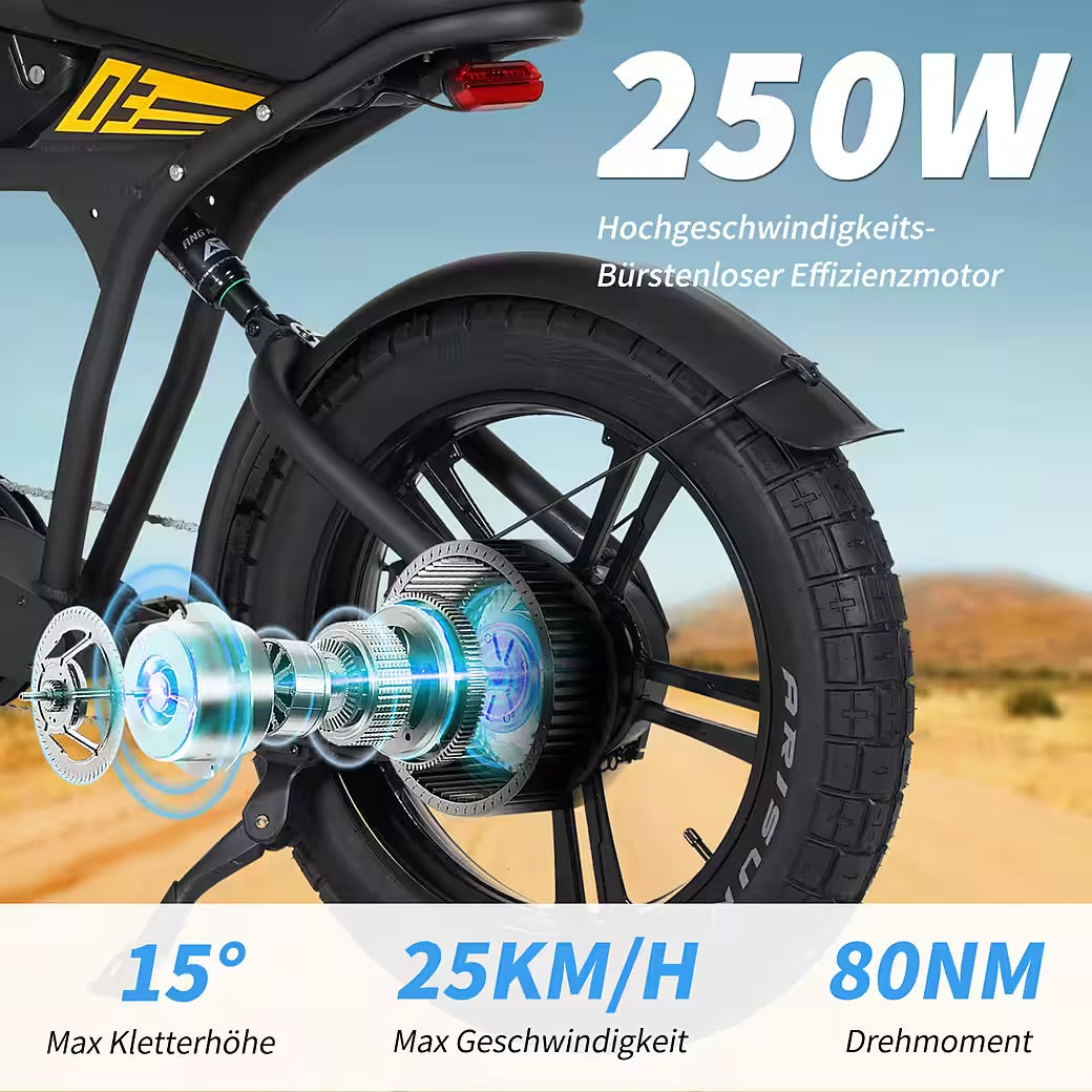 E-Bike Cityrad Damen Herren 20x4,0'' Citybike, 873WH Pedelec, 48V 250W, max.120km