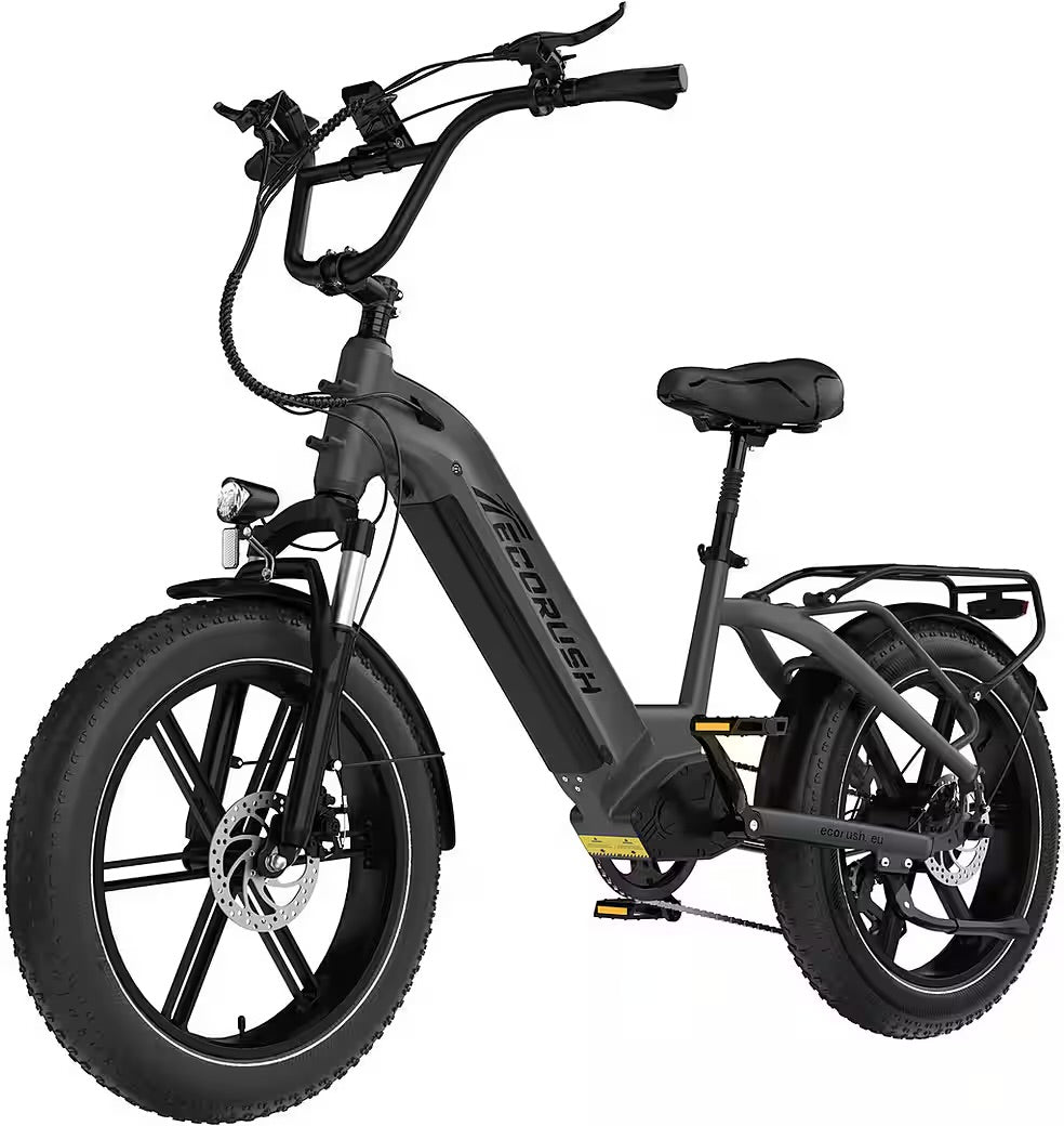 E-Bike Mountainbike Elektrofahrrad 20*4,0 Zoll Pedelec StVZO mit 15,6Ah Akku Max 70-120km