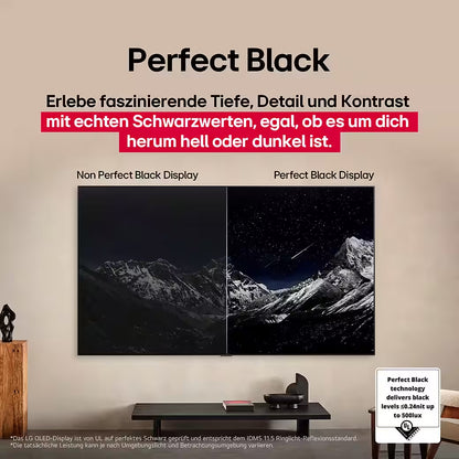 LG OLED48C5ELB OLED-Fernseher
