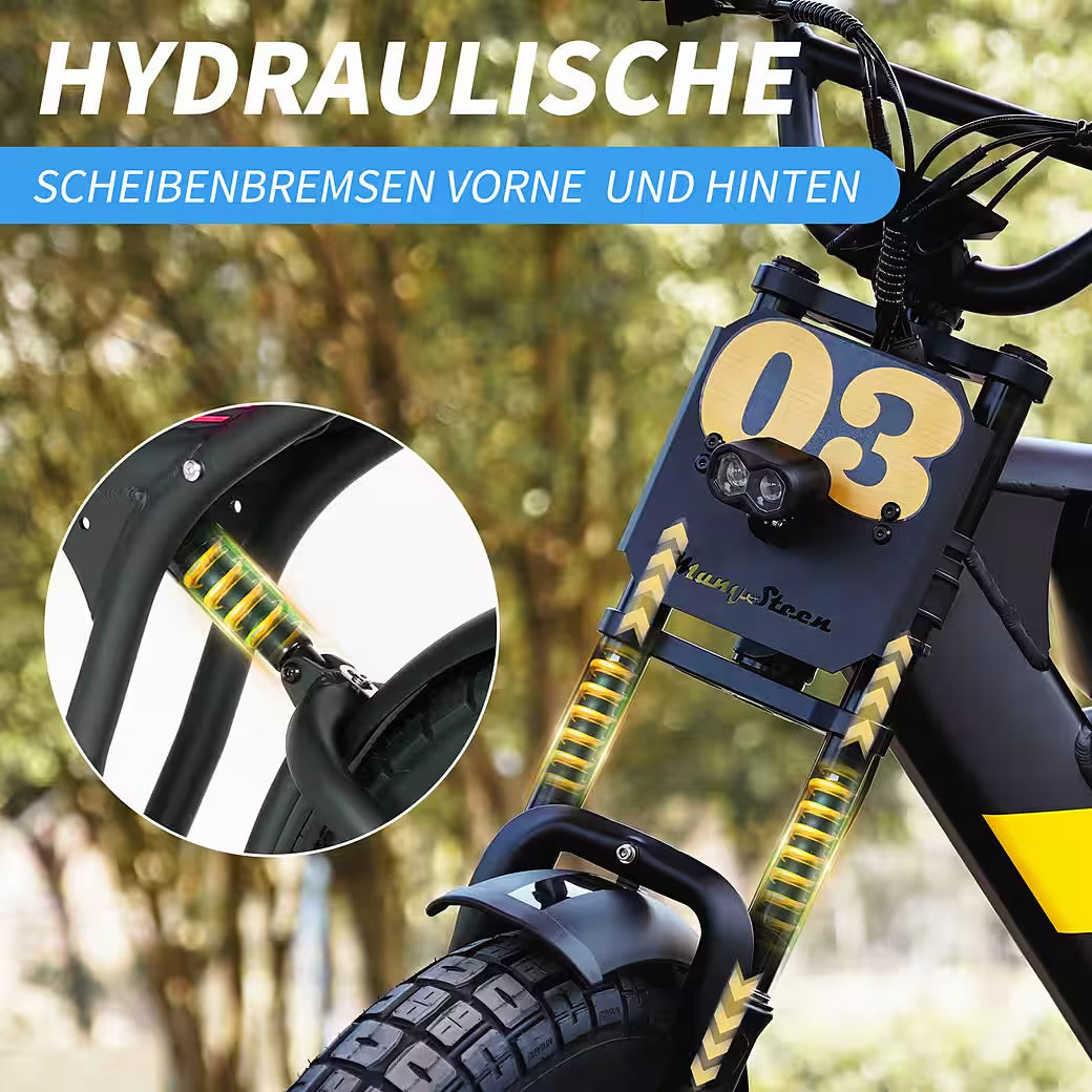 E-Bike Cityrad Damen Herren 20x4,0'' Citybike, 873WH Pedelec, 48V 250W, max.120km