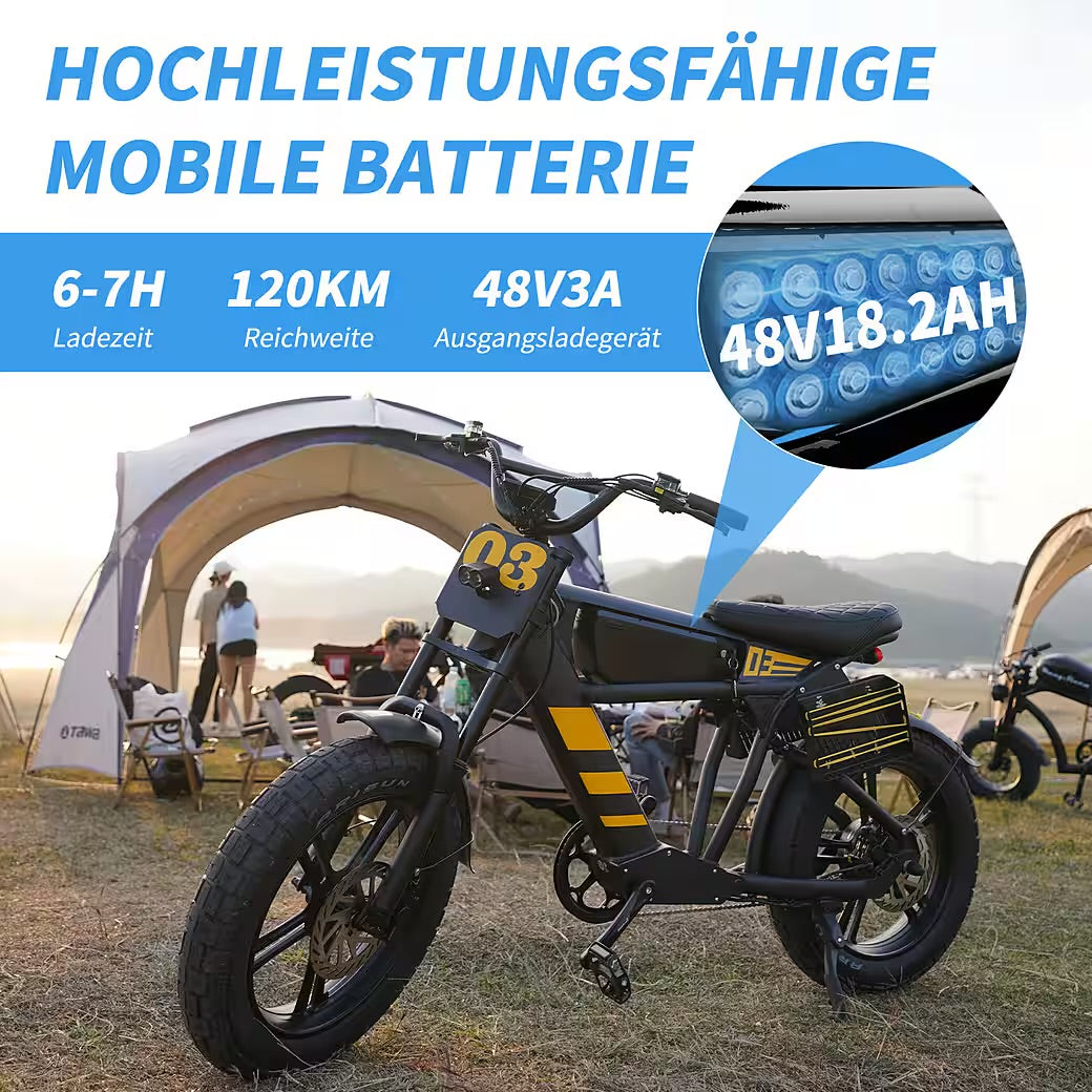 E-Bike Cityrad Damen Herren 20x4,0'' Citybike, 873WH Pedelec, 48V 250W, max.120km