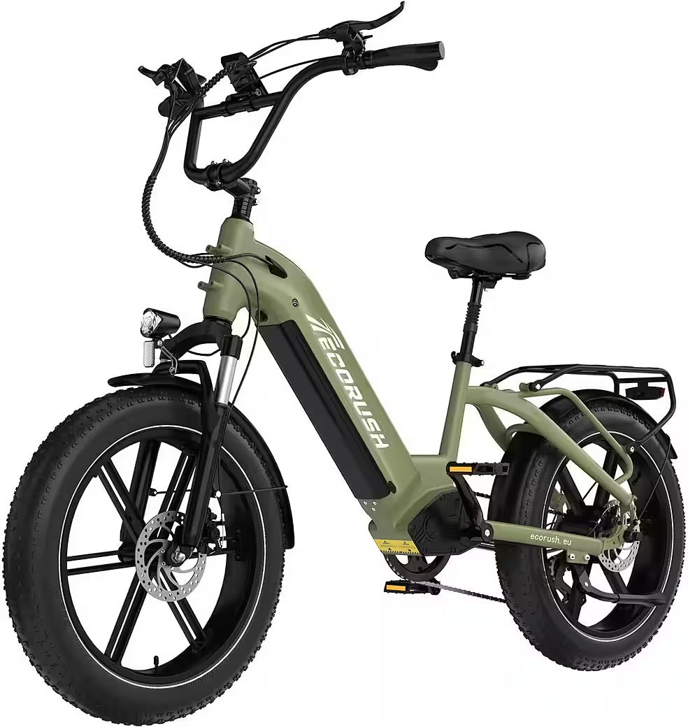 E-Bike Mountainbike Elektrofahrrad 20*4,0 Zoll Pedelec StVZO mit 15,6Ah Akku Max 70-120km