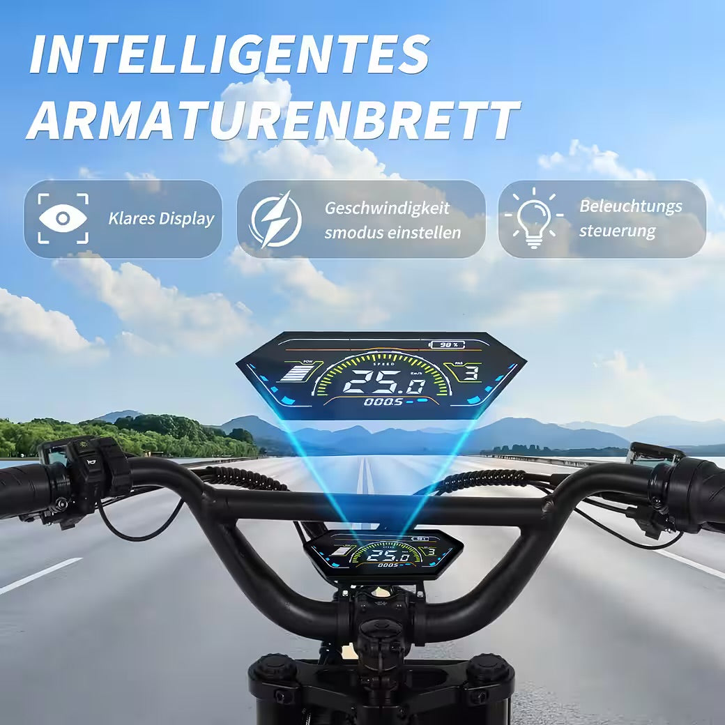 E-Bike Cityrad Damen Herren 20x4,0'' Citybike, 873WH Pedelec, 48V 250W, max.120km